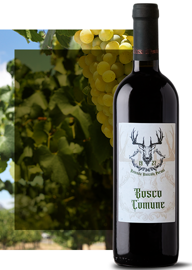 Bosco Comune vino rosso Oltrepò Pavese