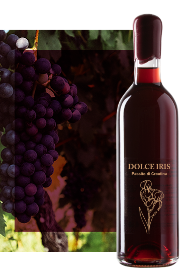 dolce_iris_croatina vino passito rosso
