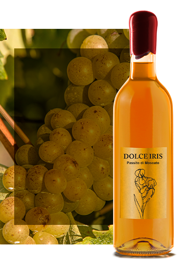 dolce_iris_moscato vino passito bianco