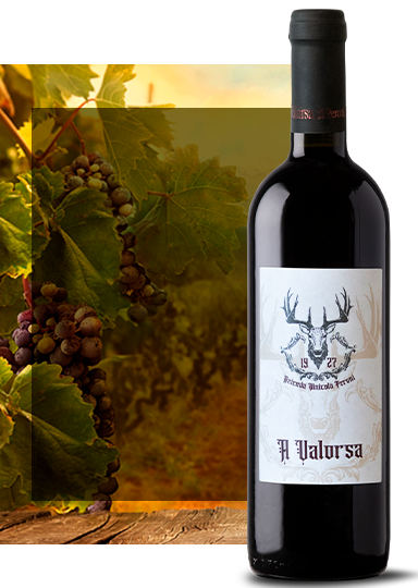 Il Valorsa vino rosso Oltrepò Pavese
