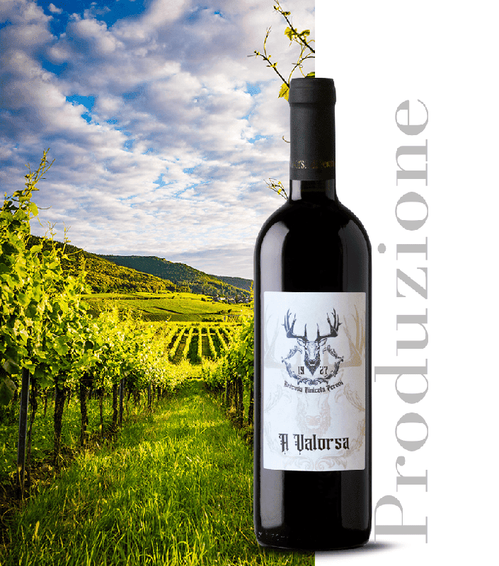 Tenuta Perotti produzione vini Oltrepò Pavese Valorsa